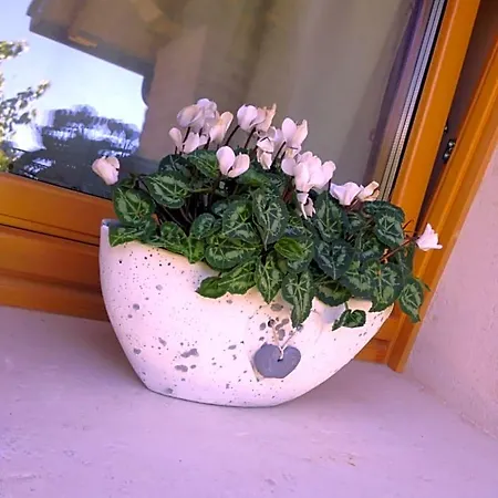 Gai De Sora Bio Charming Bed and breakfast 4*